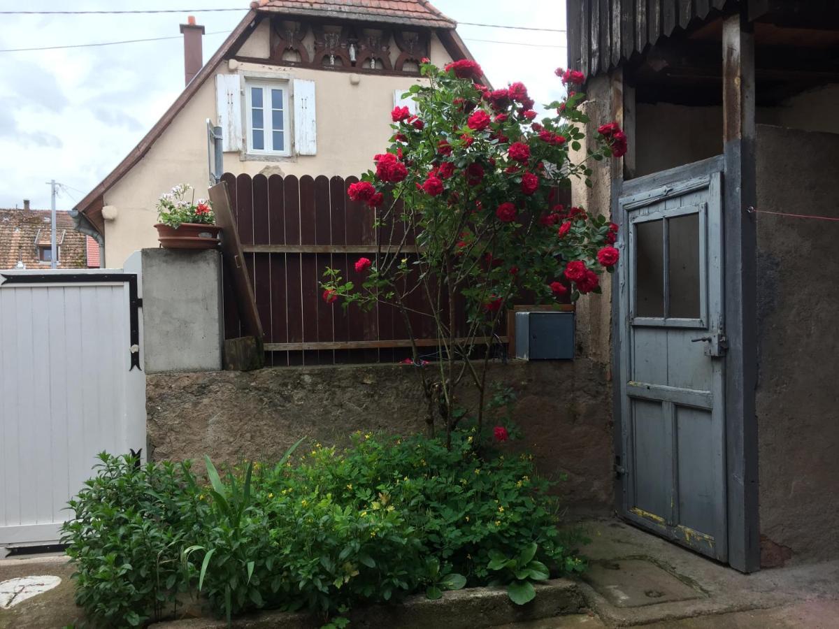Appartement Spacieux Dans Joli Village Alsacien Châtenois Dış mekan fotoğraf