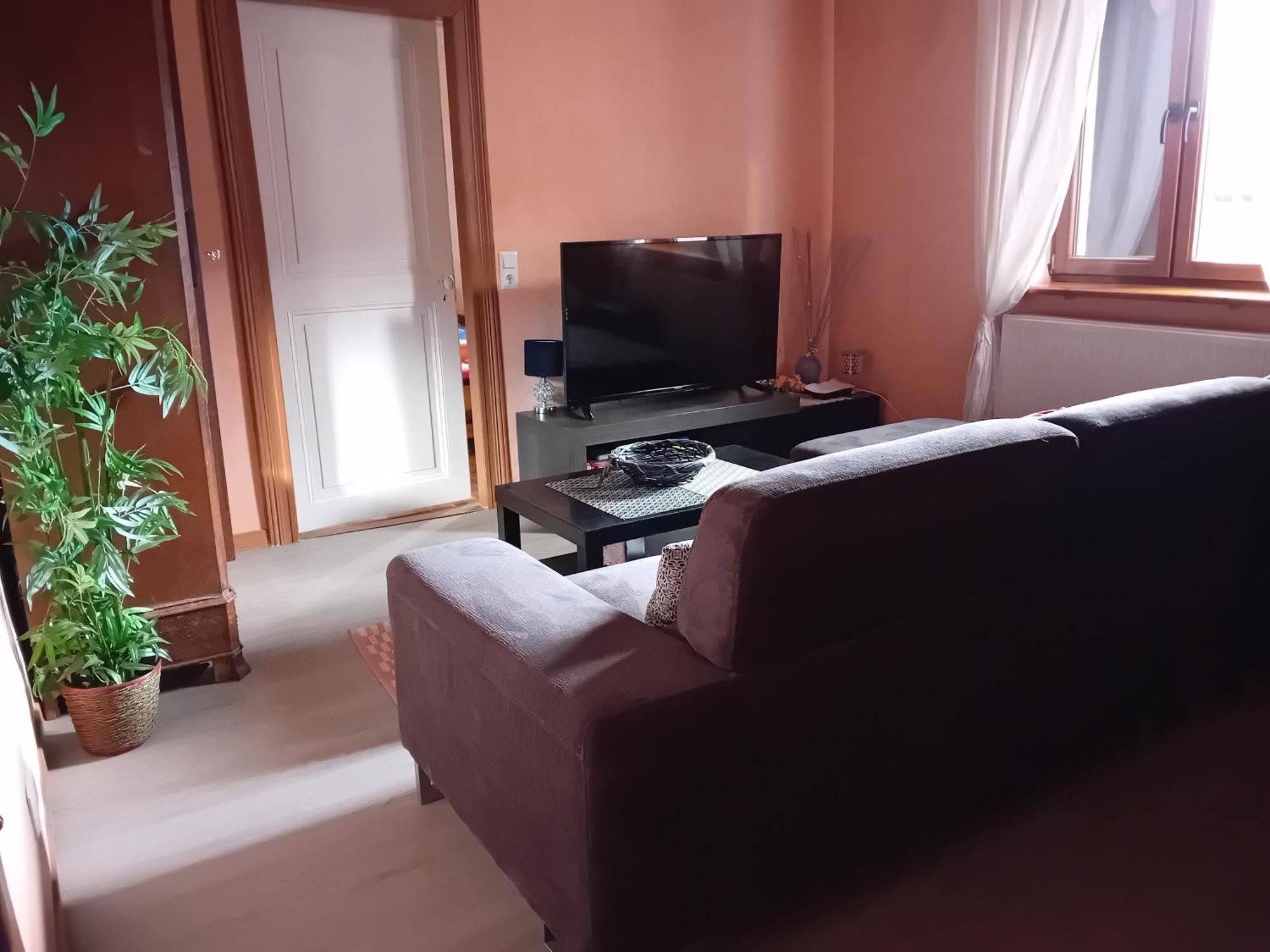 Appartement Spacieux Dans Joli Village Alsacien Châtenois Dış mekan fotoğraf