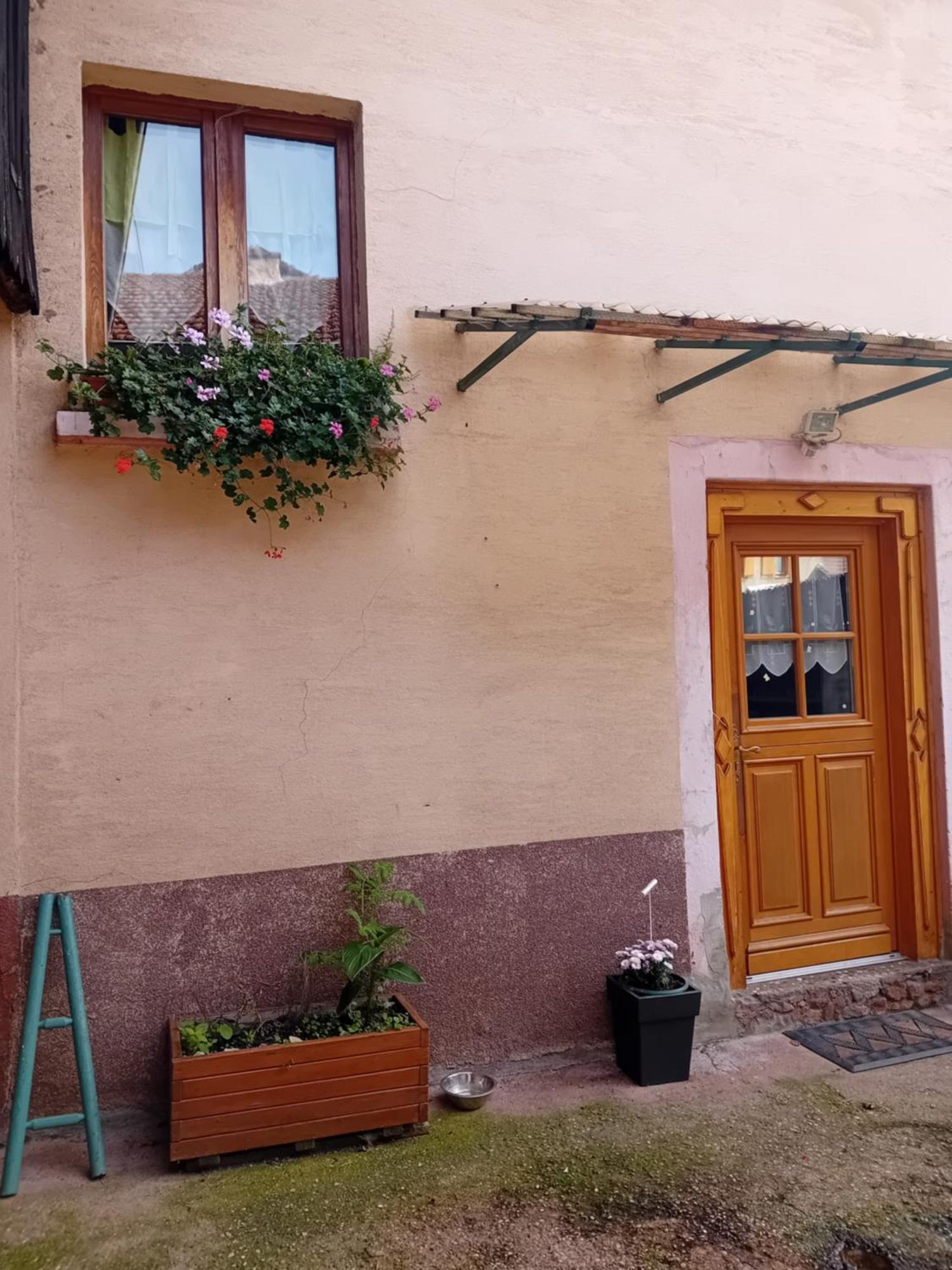 Appartement Spacieux Dans Joli Village Alsacien Châtenois Dış mekan fotoğraf